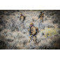 HELIKON MBDU Shirt® NyCo Rip-stop – MultiCam®