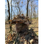 KMCS Boonie sapka Next Gen 3D levelekkel – Woodland Floor