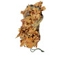 KMCS Pack cover with 3D leafs (S) – Dark Forest