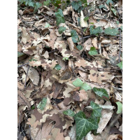 KMCS Adaptive Leafstrip (4 darab) – Woodland Floor