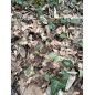 KMCS Adaptive Leafstrip (4 darab) – Woodland Floor
