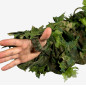 KMCS Cloak with Leaf Strips - Green KMCS Cloak with Leaf Strips - Green