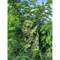 KMCS Poncho – Next-Gen Green