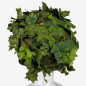 KMCS sisakborító – Next-Gen Green