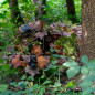 Novritsch RAFFIA CAMO fű (4 szín) – Woodland
