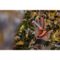 GERBER Hunting Vital Pack fűrész – narancssárga GERBER Hunting Vital Pack fűrész – narancssárga