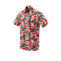 HELIKON hawaii ing – Cassino