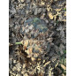KMCS hátlap 3D-s levelekkel (XL) – Next-Gen Green