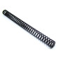 Linear AEG and SVD spring M200