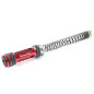 Upgrade set for Ares Amoeba Striker 