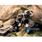 FMA PVS-21 NVG Dummy Replica, without Illumination - Black FMA PVS-21 NVG Dummy Replica, without Illumination - Black