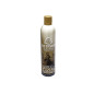 ASG ULTRAIR Green Power gáz (135 PSI) – 570 ml